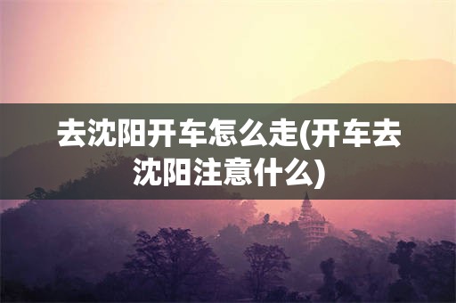 去沈阳开车怎么走(开车去沈阳注意什么)