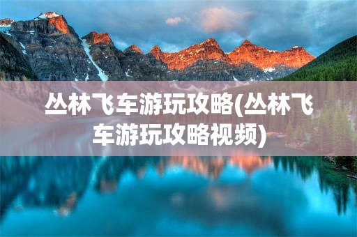 丛林飞车游玩攻略(丛林飞车游玩攻略视频)