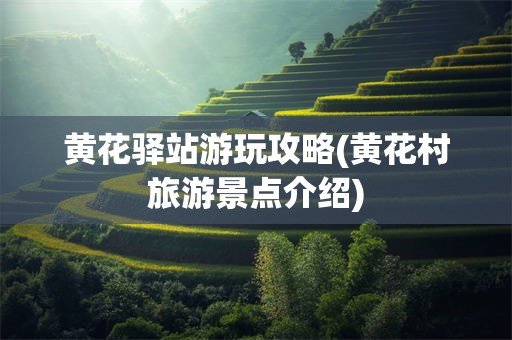 黄花驿站游玩攻略(黄花村旅游景点介绍)