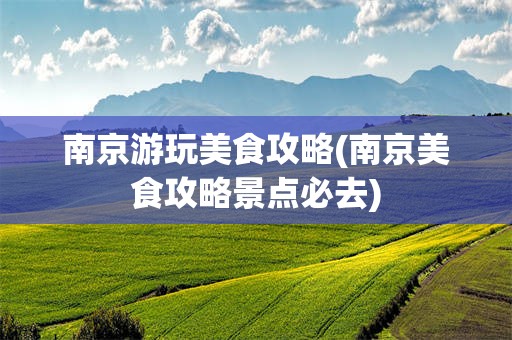 南京游玩美食攻略(南京美食攻略景点必去)