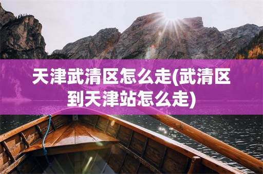 天津武清区怎么走(武清区到天津站怎么走)