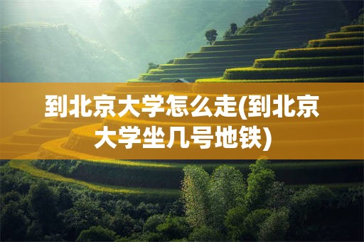 到北京大学怎么走(到北京大学坐几号地铁)