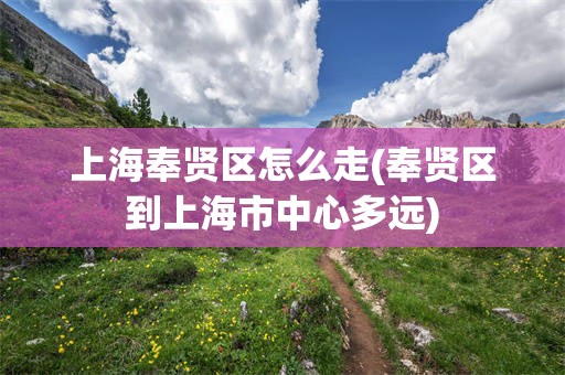 上海奉贤区怎么走(奉贤区到上海市中心多远)