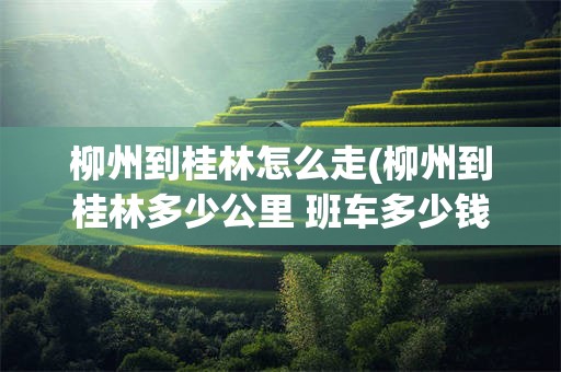 柳州到桂林怎么走(柳州到桂林多少公里 班车多少钱)