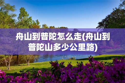 舟山到普陀怎么走(舟山到普陀山多少公里路)