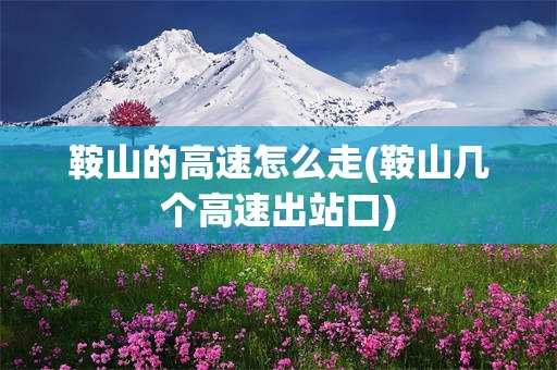 鞍山的高速怎么走(鞍山几个高速出站口)