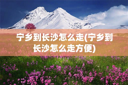 宁乡到长沙怎么走(宁乡到长沙怎么走方便)