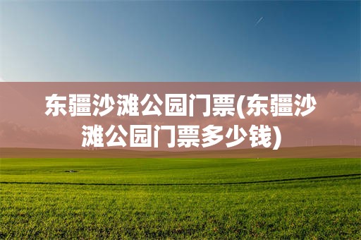 东疆沙滩公园门票(东疆沙滩公园门票多少钱)