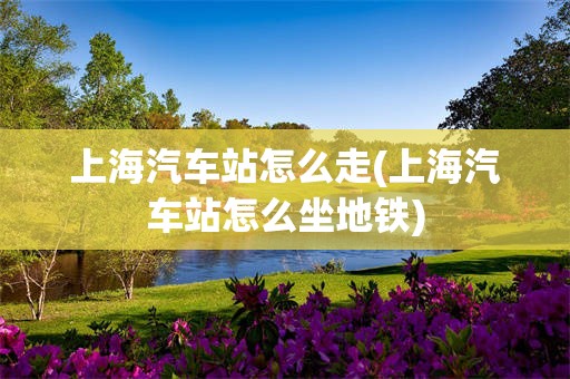 上海汽车站怎么走(上海汽车站怎么坐地铁)