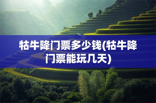 牯牛降门票多少钱(牯牛降门票能玩几天)