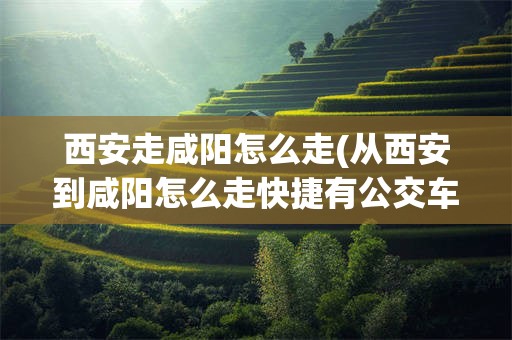 西安走咸阳怎么走(从西安到咸阳怎么走快捷有公交车吗)