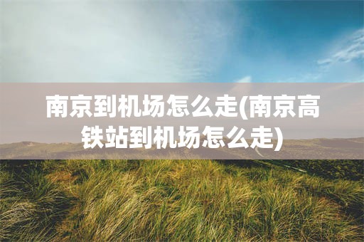 南京到机场怎么走(南京高铁站到机场怎么走)