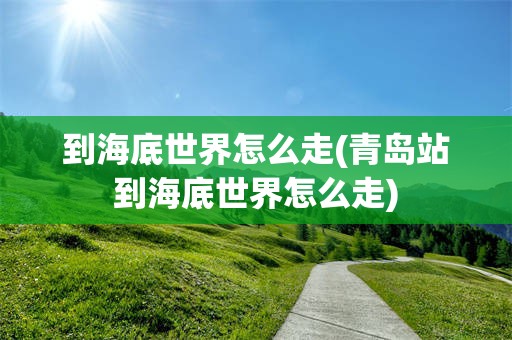 到海底世界怎么走(青岛站到海底世界怎么走)