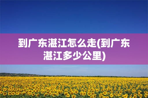 到广东湛江怎么走(到广东湛江多少公里)