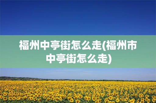 福州中亭街怎么走(福州市中亭街怎么走)