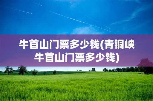 牛首山门票多少钱(青铜峡牛首山门票多少钱)