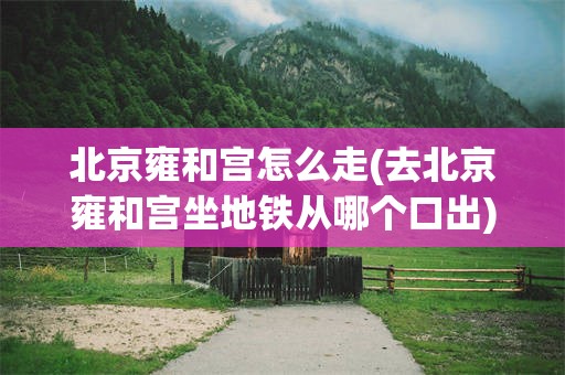 北京雍和宫怎么走(去北京雍和宫坐地铁从哪个口出)