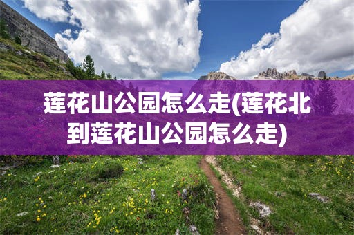 莲花山公园怎么走(莲花北到莲花山公园怎么走)