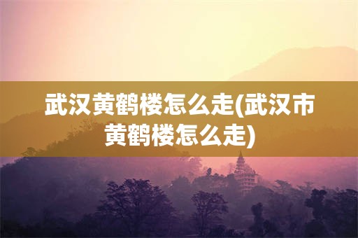 武汉黄鹤楼怎么走(武汉市黄鹤楼怎么走)