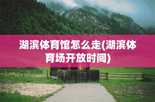 湖滨体育馆怎么走(湖滨体育场开放时间)