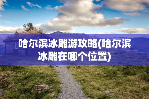 哈尔滨冰雕游攻略(哈尔滨冰雕在哪个位置)