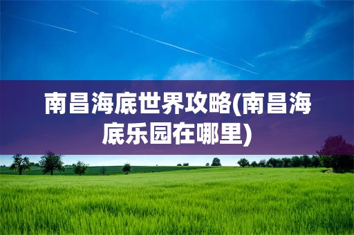 南昌海底世界攻略(南昌海底乐园在哪里)