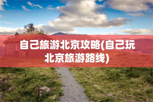 自己旅游北京攻略(自己玩北京旅游路线)