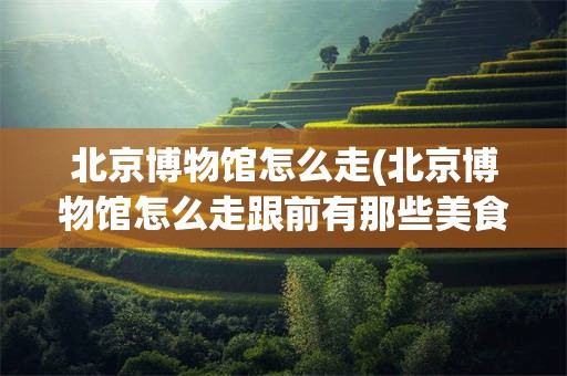 北京博物馆怎么走(北京博物馆怎么走跟前有那些美食)