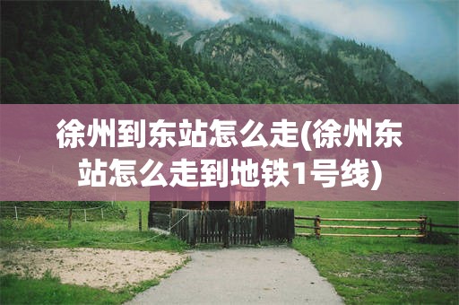 徐州到东站怎么走(徐州东站怎么走到地铁1号线)