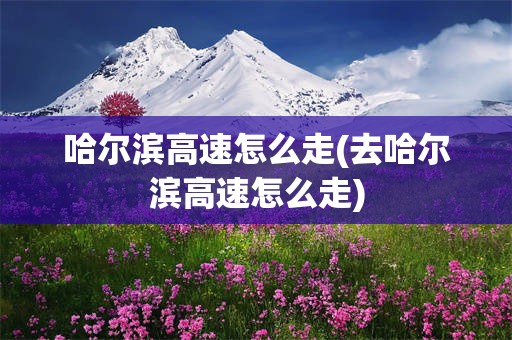 哈尔滨高速怎么走(去哈尔滨高速怎么走)