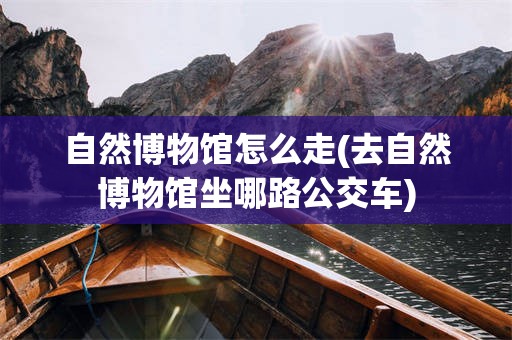 自然博物馆怎么走(去自然博物馆坐哪路公交车)