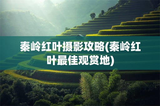 秦岭红叶摄影攻略(秦岭红叶最佳观赏地)