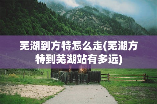 芜湖到方特怎么走(芜湖方特到芜湖站有多远)