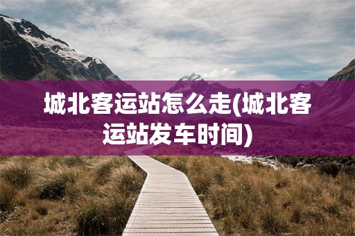 城北客运站怎么走(城北客运站发车时间)