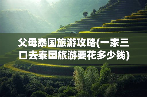 父母泰国旅游攻略(一家三口去泰国旅游要花多少钱)