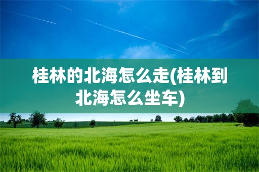 桂林的北海怎么走(桂林到北海怎么坐车)