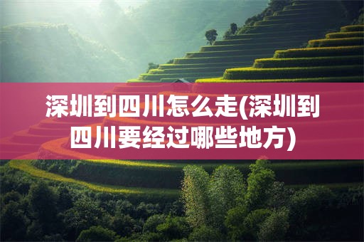 深圳到四川怎么走(深圳到四川要经过哪些地方)