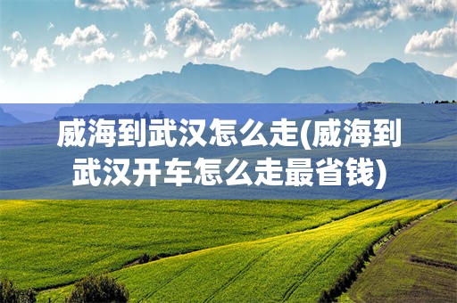威海到武汉怎么走(威海到武汉开车怎么走最省钱)