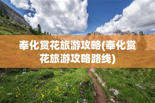 奉化赏花旅游攻略(奉化赏花旅游攻略路线)