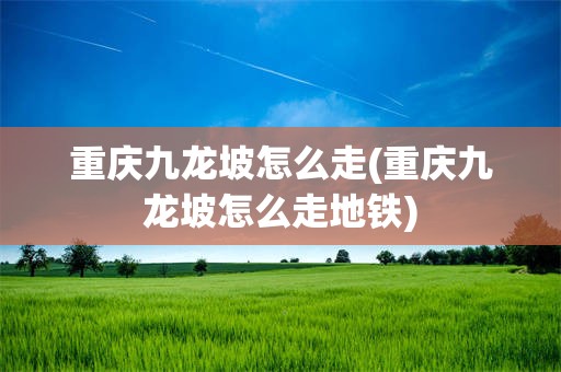 重庆九龙坡怎么走(重庆九龙坡怎么走地铁)