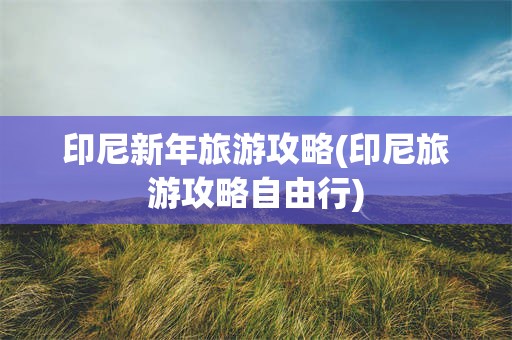 印尼新年旅游攻略(印尼旅游攻略自由行)