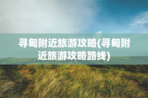 寻甸附近旅游攻略(寻甸附近旅游攻略路线)