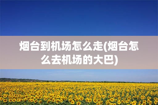 烟台到机场怎么走(烟台怎么去机场的大巴)
