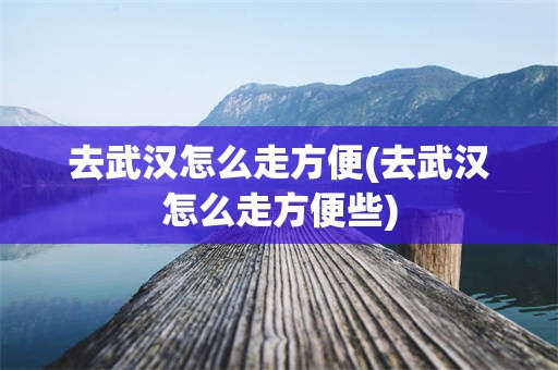 去武汉怎么走方便(去武汉怎么走方便些)