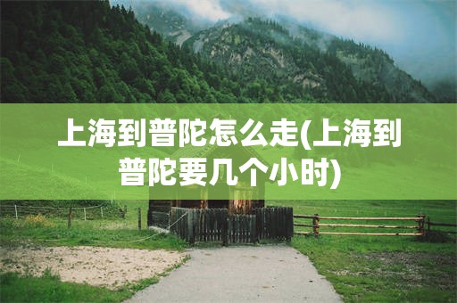 上海到普陀怎么走(上海到普陀要几个小时)