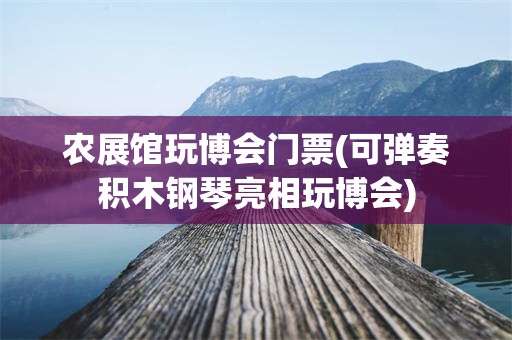 农展馆玩博会门票(可弹奏积木钢琴亮相玩博会)