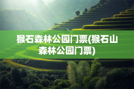 猴石森林公园门票(猴石山森林公园门票)