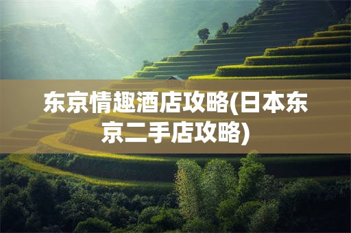 东京情趣酒店攻略(日本东京二手店攻略)