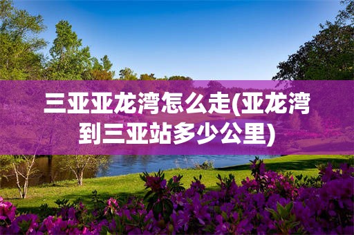 三亚亚龙湾怎么走(亚龙湾到三亚站多少公里)