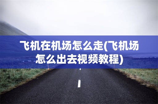 飞机在机场怎么走(飞机场怎么出去视频教程)